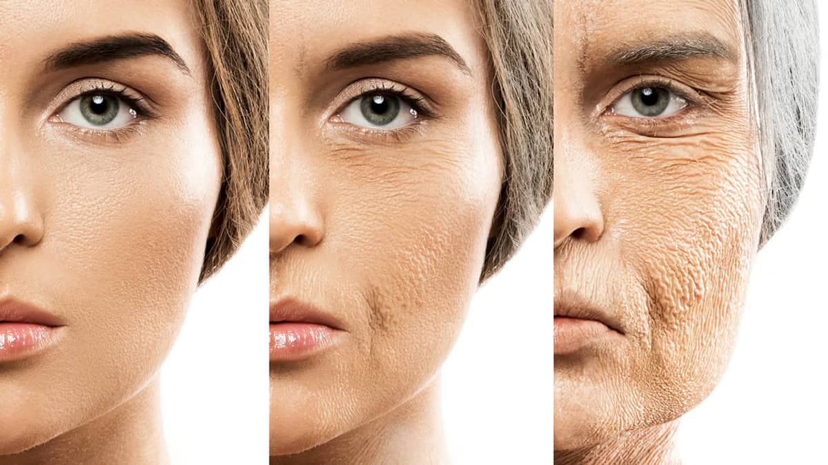 The Secrets to Anti-Aging Prevention Revealed